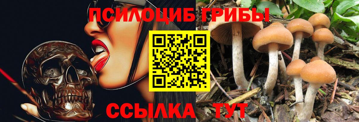 Галлюциногенные грибы Magic Shrooms Верхний Уфалей